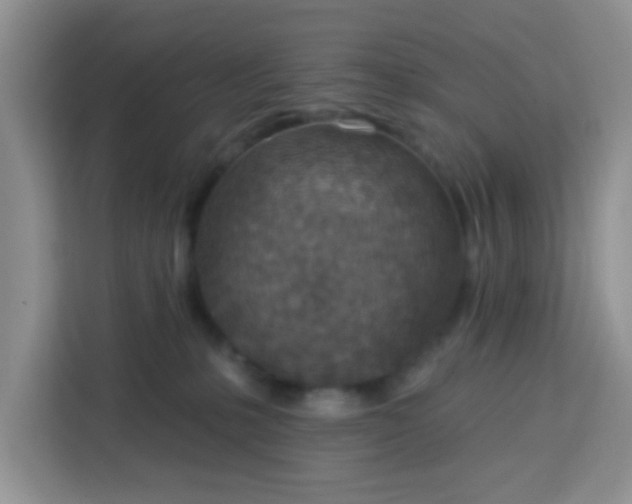 X0000113740231200910071052