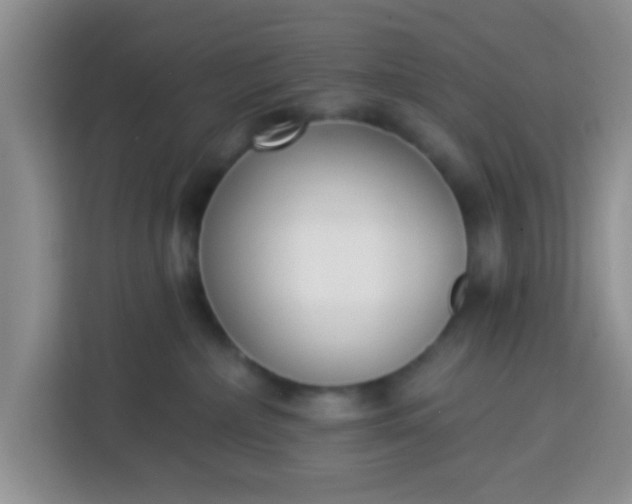 X0000113740236200910071052