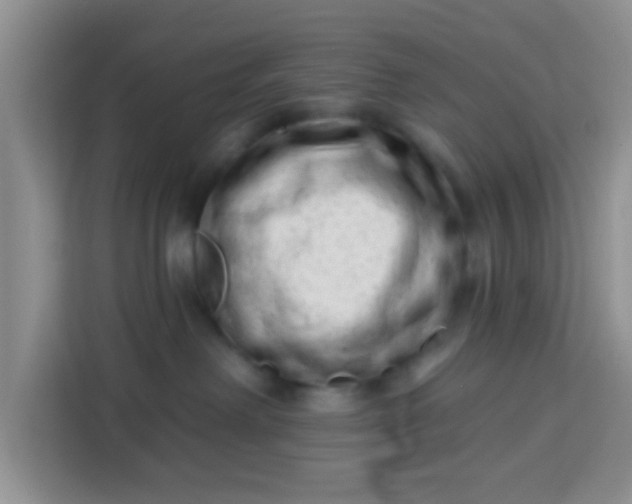 X0000113740238200910071052