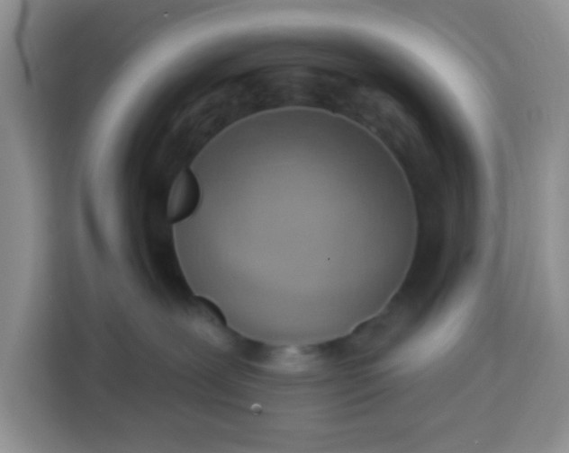 X0000113740239200910071052