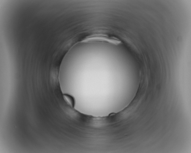 X0000113740240200910071052