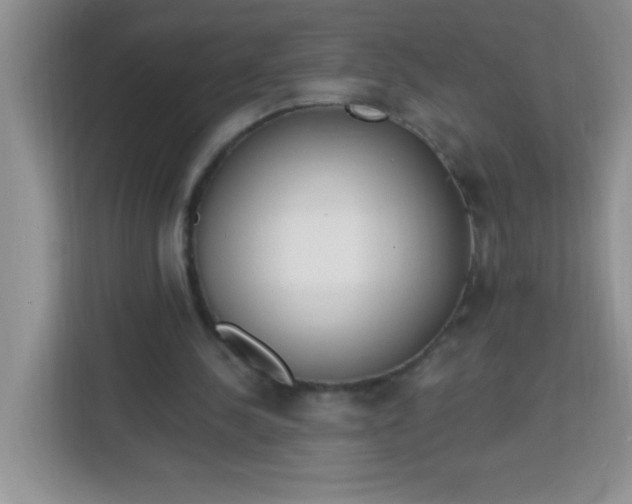 X0000113740244200910071051