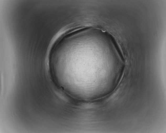 X0000113740246200910071051