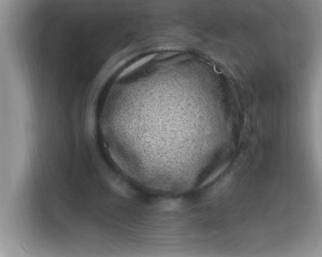 X0000113740247200910071051