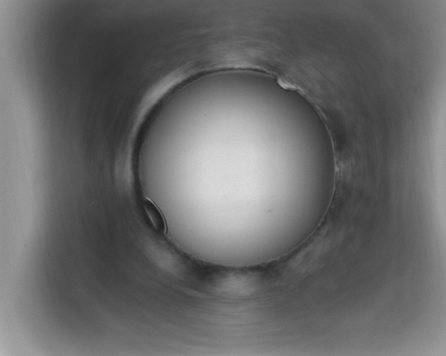 X0000113740248200910071051