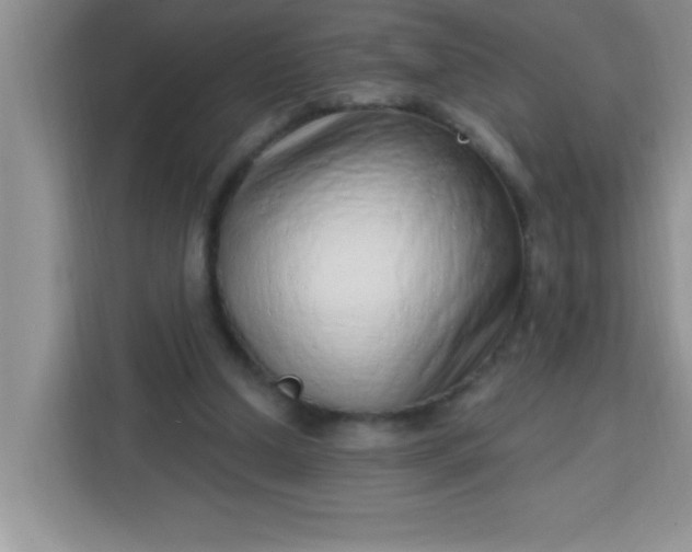 X0000113740250200910071051