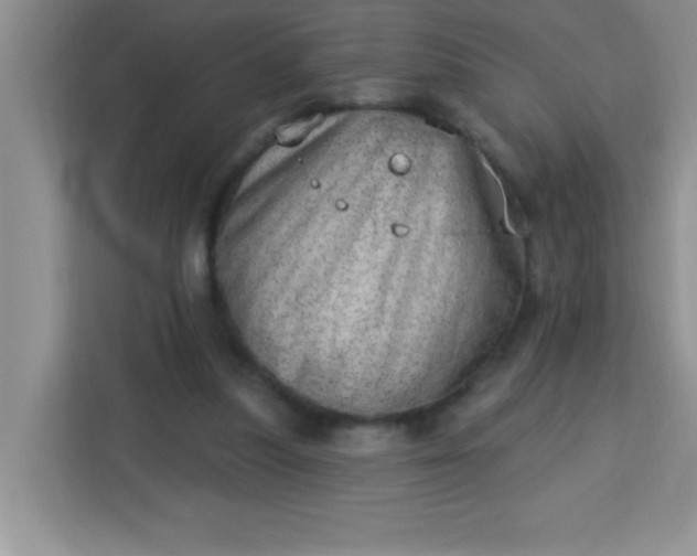 X0000113740251200910071052