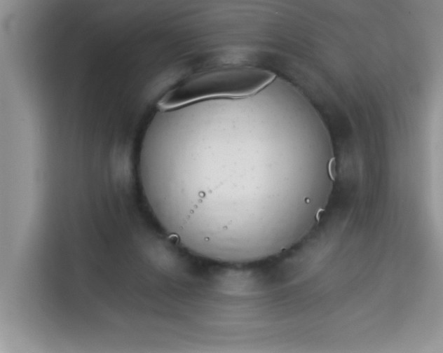 X0000113740256200910071052