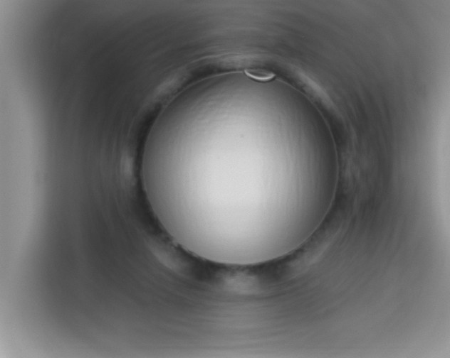 X0000113740258200910071052