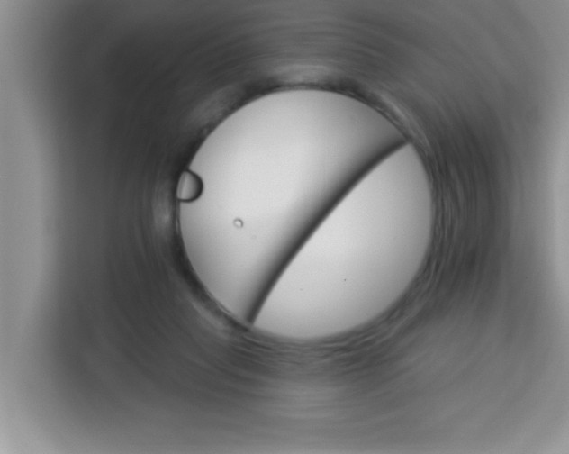 X0000113740261200910071052