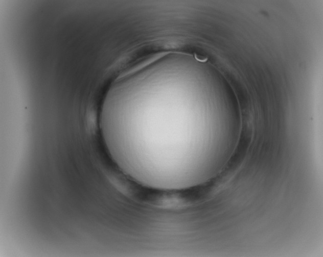 X0000113740262200910071052