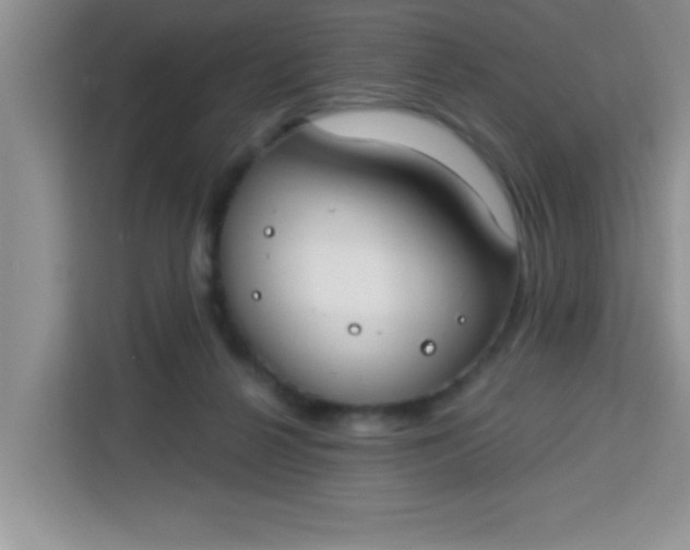 X0000113740264200910071052