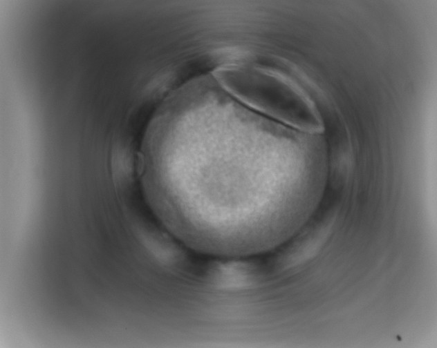 X0000113740268200910071052