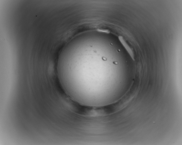 X0000113740270200910071052