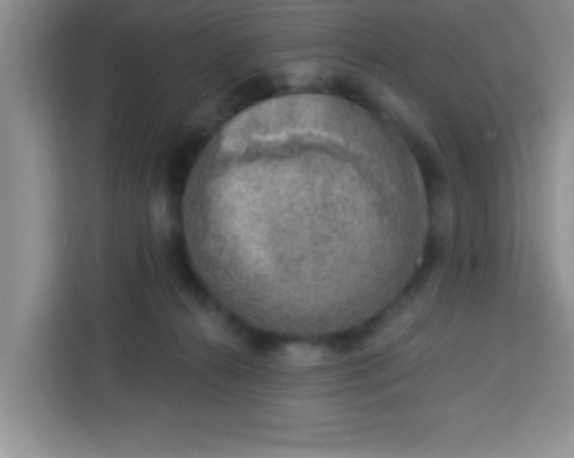 X0000113740272200910071052