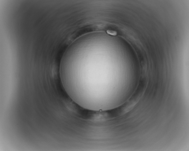 X0000113740274200910071052