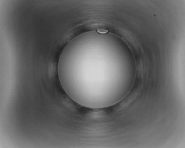 X0000113740278200910071052