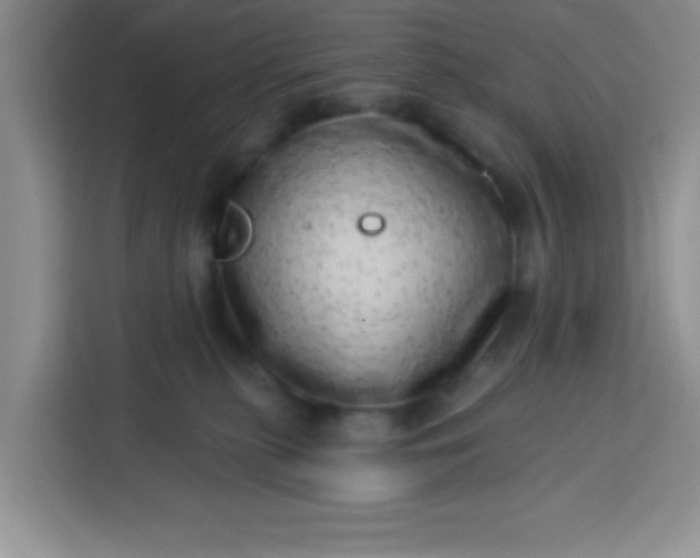 X0000113740279200910071052