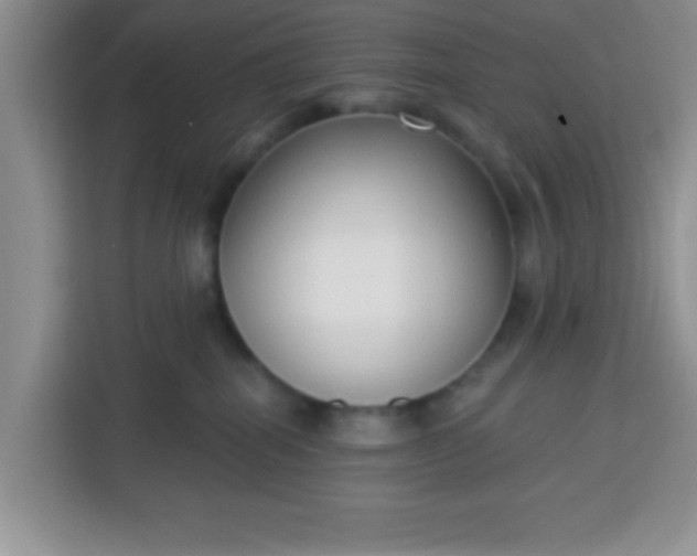 X0000113740282200910071052