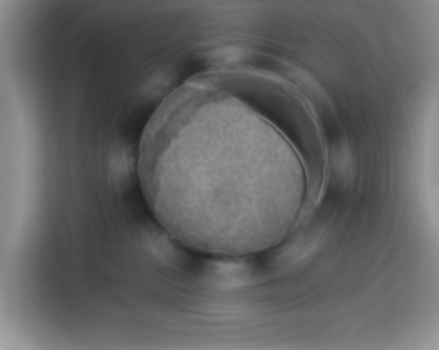 X0000113740284200910071052