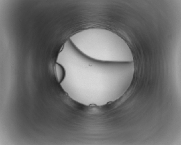 X0000113740285200910071052