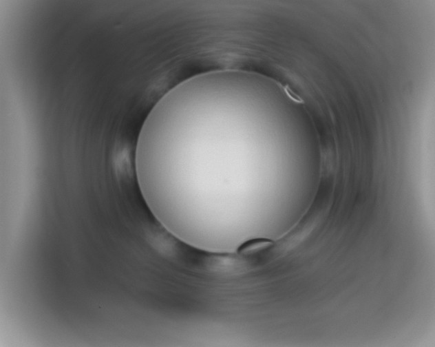 X0000113740286200910071052