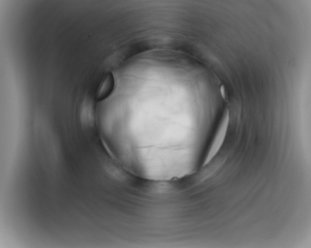 X0000113740287200910071052