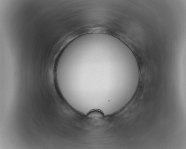 X0000113740290200910071051