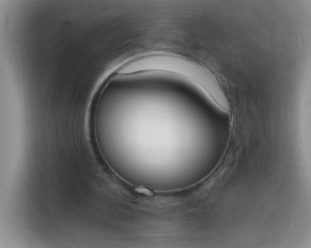 X0000113740292200910071051