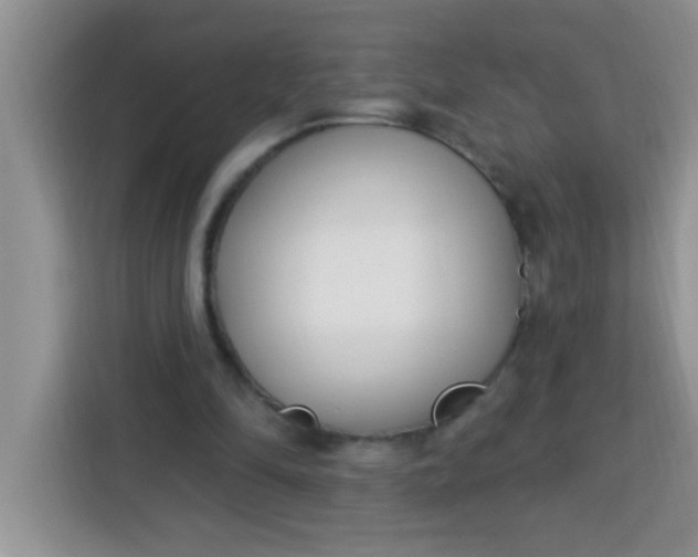 X0000113740294200910071051