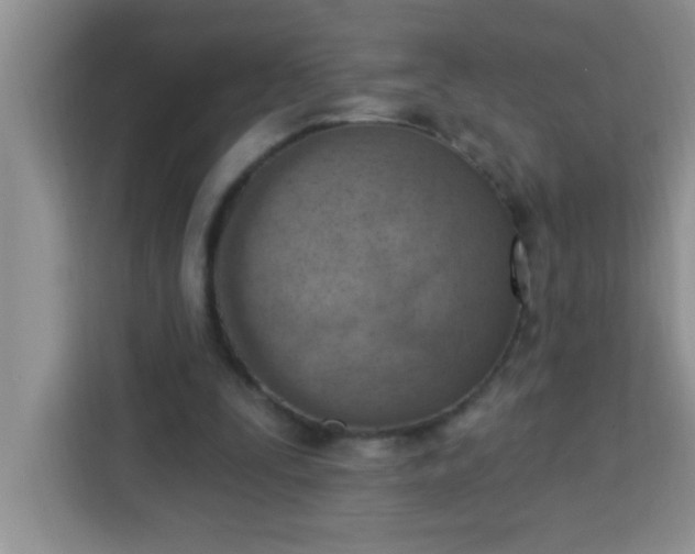 X0000113740295200910071051