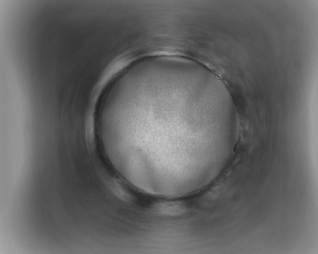 X0000113740296200910071051