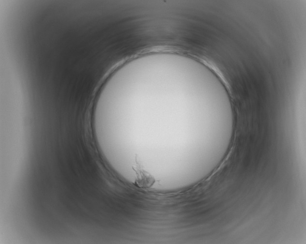 X0000113740297200910071051