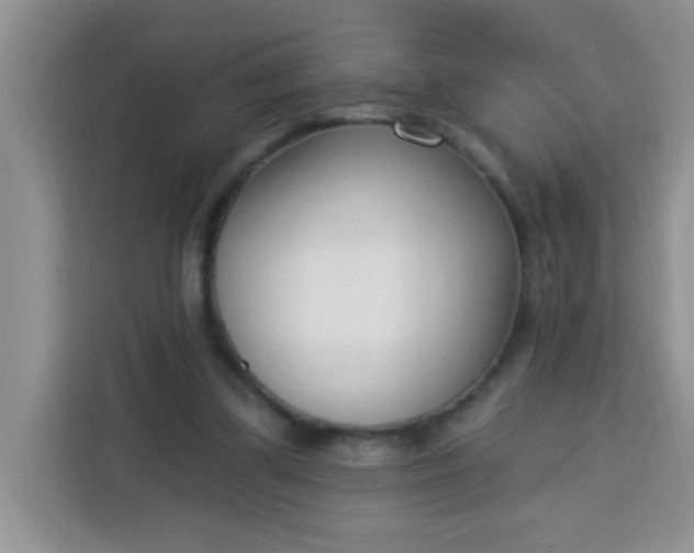 X0000113740299200910071051