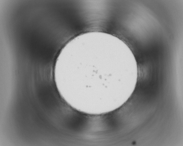 X0000113740301200910071051