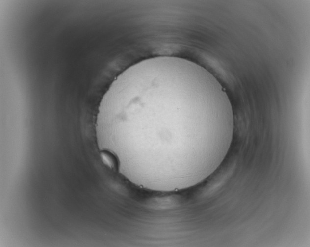 X0000113740307200910071051