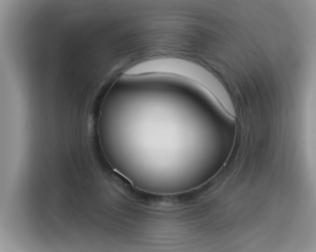 X0000113740308200910071051