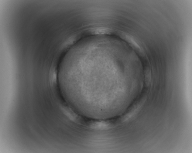 X0000113740310200910071051