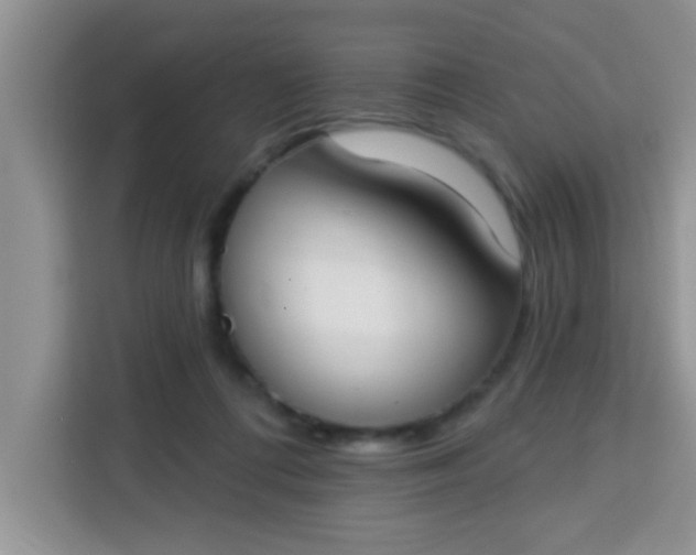 X0000113740312200910071051