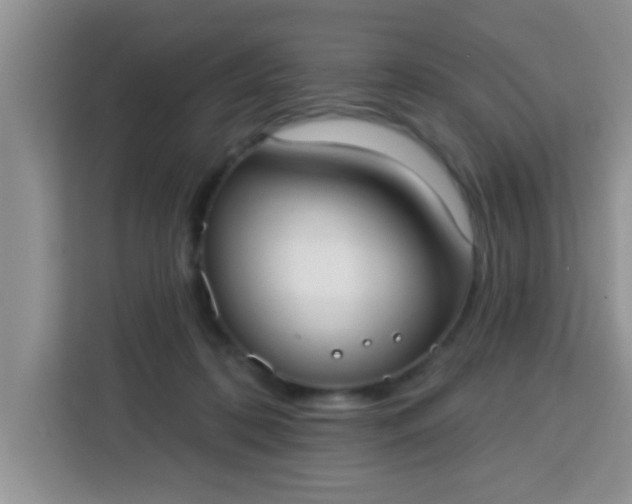 X0000113740316200910071051