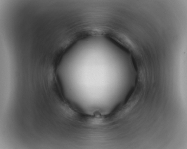 X0000113740318200910071051