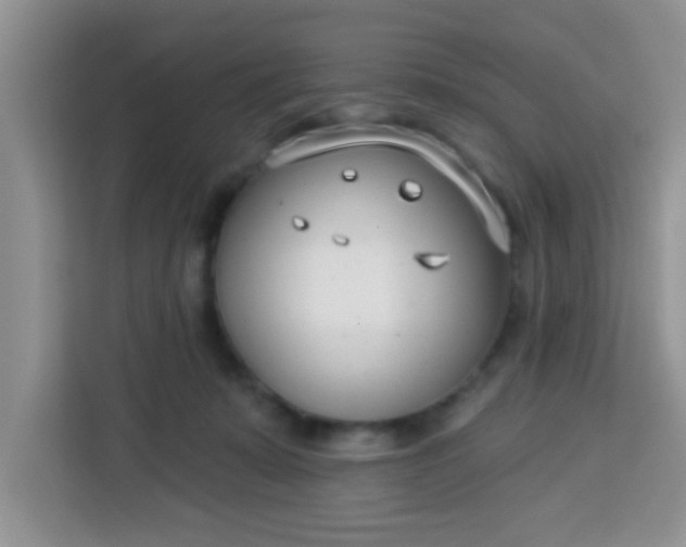 X0000113740319200910071051