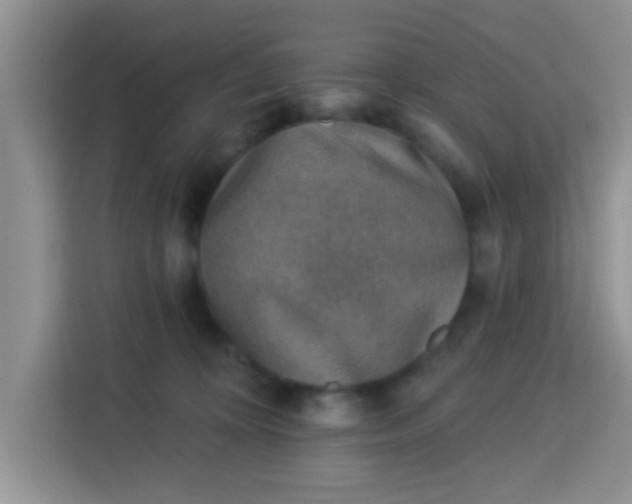 X0000113740324200910071051