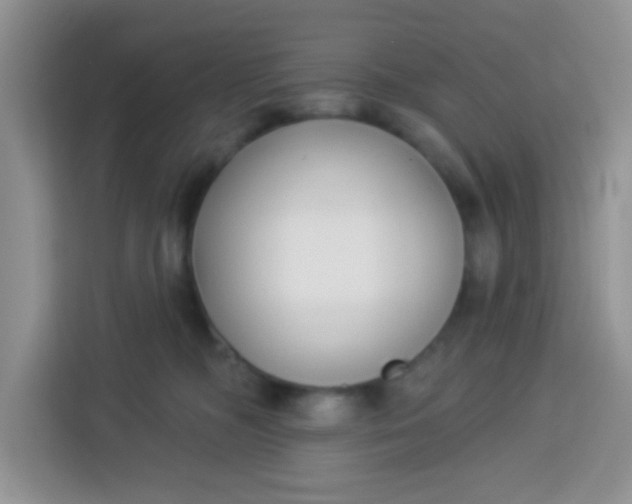 X0000113740326200910071051