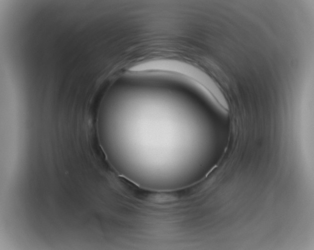 X0000113740327200910071051