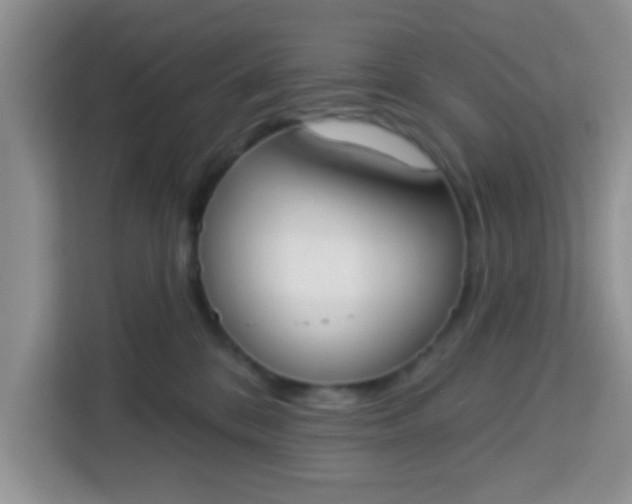 X0000113740328200910071051