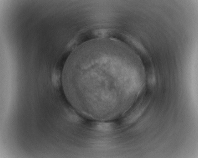 X0000113740332200910071051