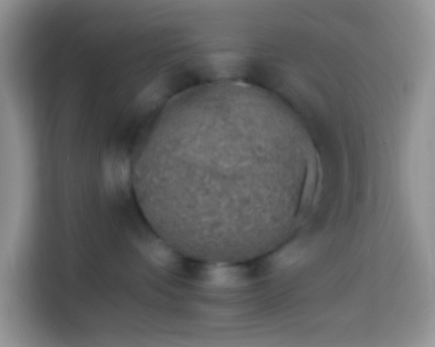 X0000113740336200910071051