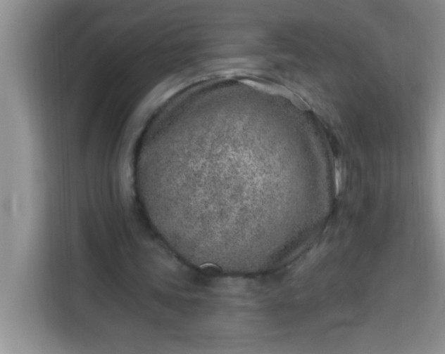 X0000113740339200910071050