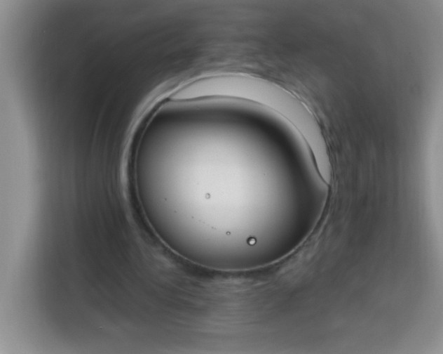 X0000113740340200910071050